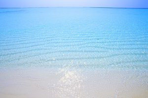 海洋散骨-散骨とは