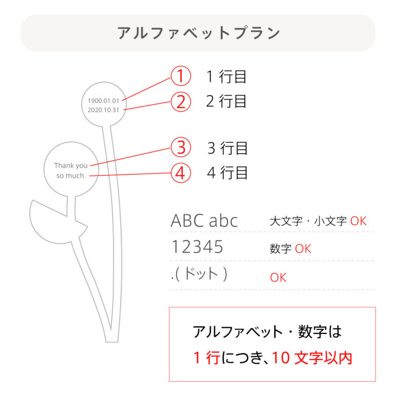 アルファベットプラン概要